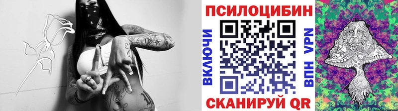 наркошоп  Нефтегорск  Псилоцибиновые грибы прущие грибы 