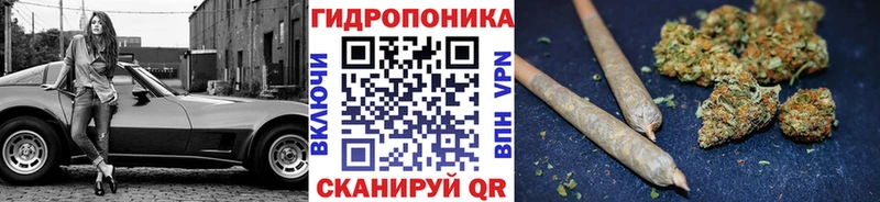 Канабис VHQ Нефтегорск